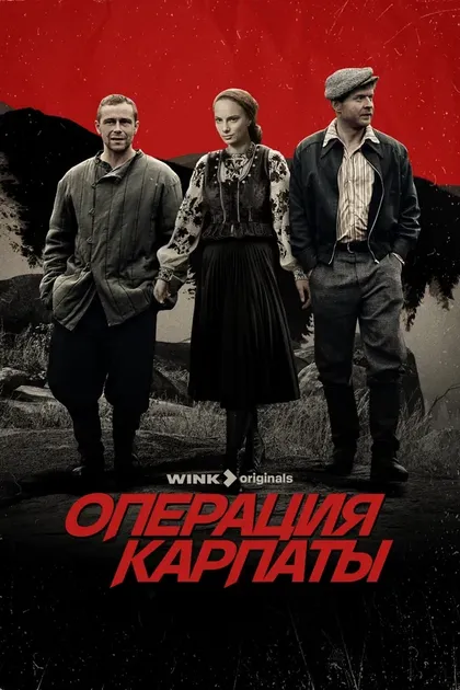 Операция «Карпаты» (2024)